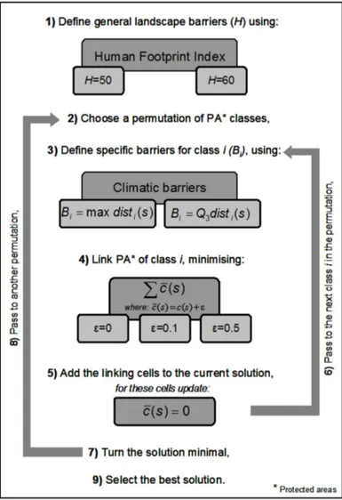 Fig. 1  Simplified overview of the procedures implemented in the connectivity algorithm