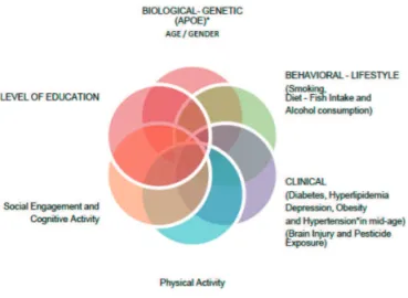 Figure 1. Risk and protective factors for AD (Source: adapted from An- An-stey et al. 9 ).