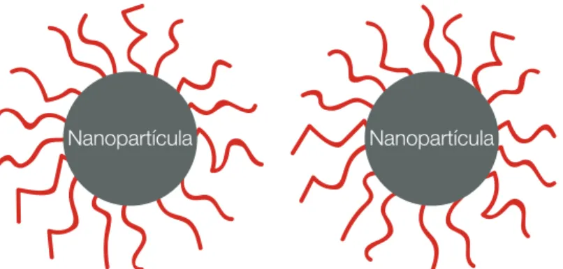 Figura 2.10 - Ilustração de NPs com surfactante na superfície, responsável pela obtenção da  estabilização estérica