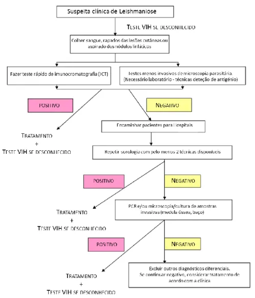 Figura 2 – Algoritmo de diagnóstico (15). Inclusão das instalações de cuidados primários de saúde (15)