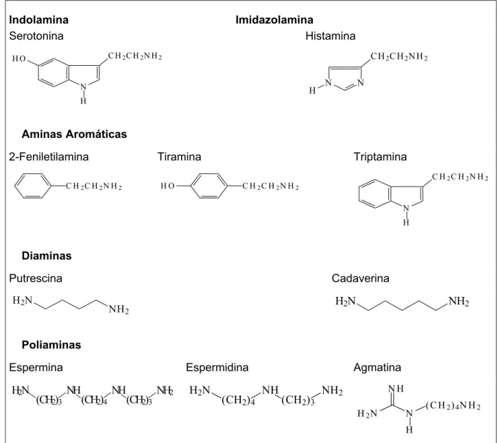Figura 2.  Estrutura química de algumas aminas bioativas.