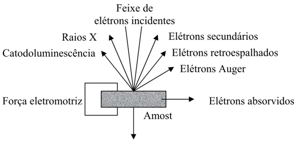 FIGURA 8 – Processos de interação possíveis durante a incidência de um feixe de elétrons em uma  amostra sólida (BRANDÃO apud CARVALHO JR, 2005)