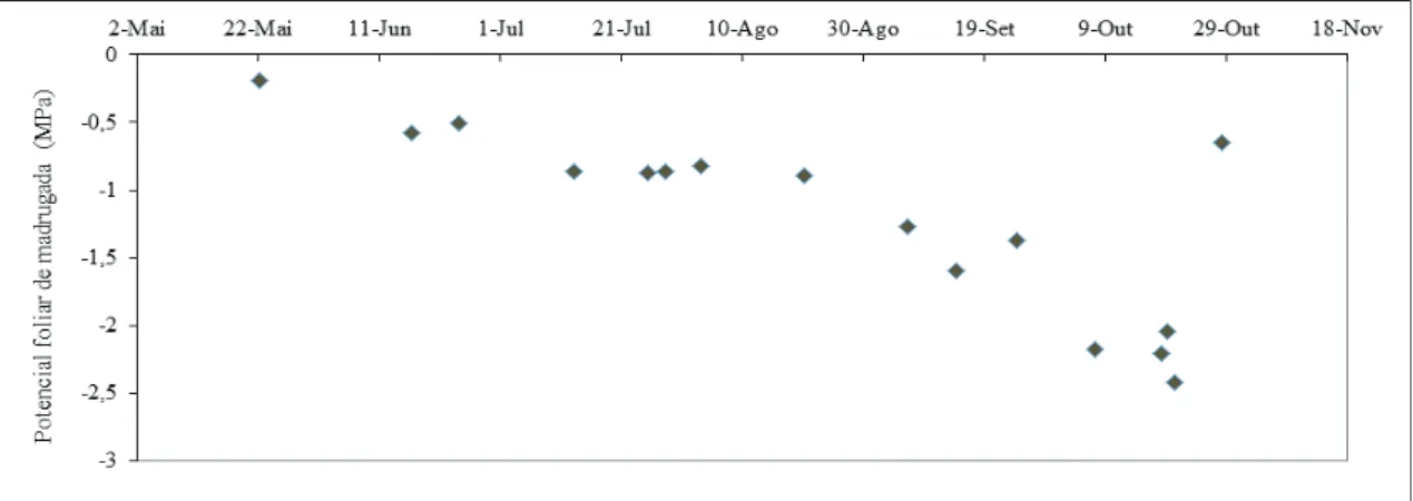 Figura 4 - Curso sazonal do potencial foliar de base medido nas oliveiras da parcela de  sequeiro (em média, n = 20), em 2011