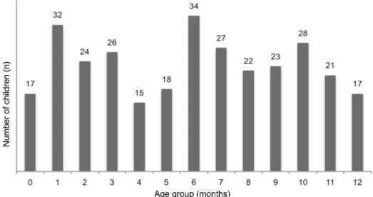 Figure 1. Distribution of the children participating in the study, according to the age group (months)