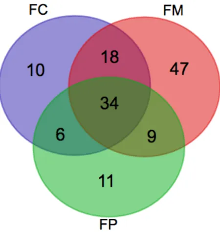 Figura 7: Diagrama de Venn das proteínas de  Homo sapiens identificadas nas frações FC (Fração  Citoplasmática), FM (Fração Membranar) e FP (Fração parasitária)