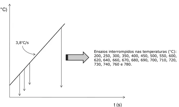 Figura 4.1 - Esquema  de  ensaios  realizados  na  Gleeble  com  o  objetivo  de  monitorar  a  recristalização da ferrita durante o aquecimento do material