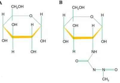 Figura 2. Estrutura de: A) glicose B) Estreptozotocina (Modificado de Eleazu  et al.,  2013)