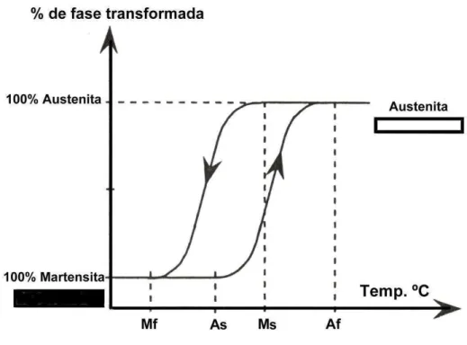 GRÁFICO 2.3 – Representação esquemática da TM e TR.   FONTE: Kuhn, et al., 2001. p.516
