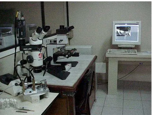 FIGURA 5.8 – Bancada de teste posicionada na lupa estereomicroscópica e a imagem  do instrumento no canal artificial mostrada no monitor 