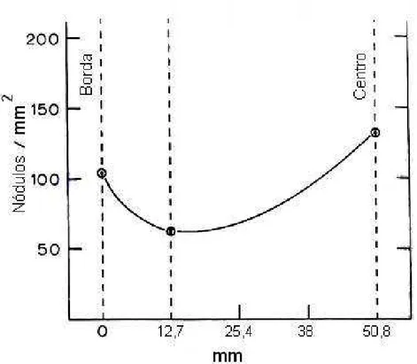 Fig. 6 – Variação do número de nódulos ao longo da seção da peça fundida  (REESMAN e LOPER, 1967)