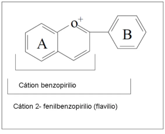 Figura 1- Cátion 2-fenilbenzopirilio (flavílio).  Fonte: BOBBIO e BOBBIO, 2003.