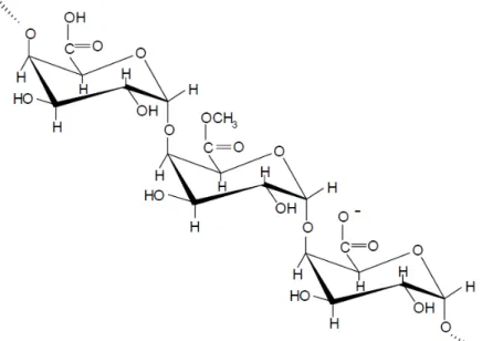 Figura 5 - Estrutura química da cadeia de pectina  Fonte: HOURDET &amp; MULLER, 1991.  