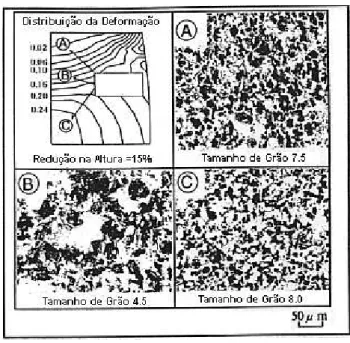 Figura 3.1.10 – Comparação da distribuição da deformação equivalente e microestrutura a 750°C,  para o aço AISI 1045  (8) 