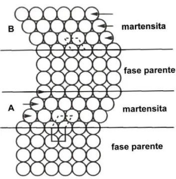 FIGURA 1 -  Modelo simplificado da transformação martensítica