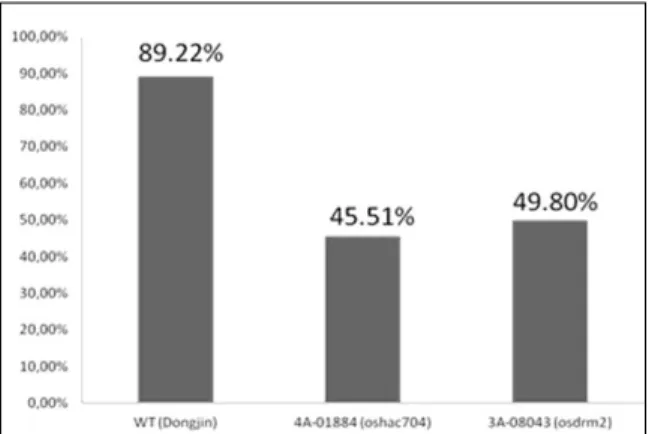 Figure S3: Spikelet fertility in WT (Dongjin) and T-DNA rice mutant lines. 