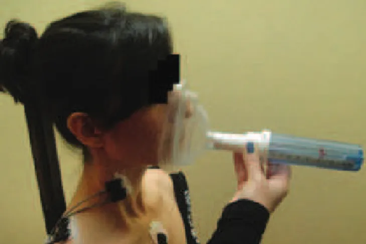 Figure 1. Measure of the peak nasal inspiratory flow 