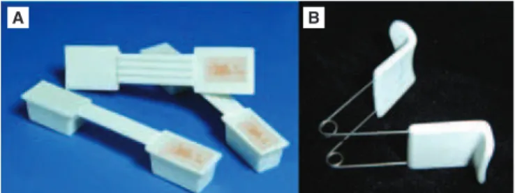 Figure 2. (A) Lip dumbbells; (B) Lip exerciser, both by Pró-Fono ®