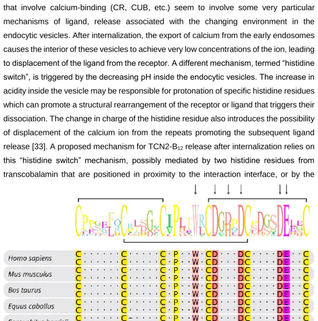 Figure 4 – The structure of LDLa repeats. Alignment of the two LDLa repeats found in the CD320 of various mammalian  species