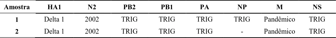 Tabela  3:  Caracterização  dos  oito  segmentos  genéticos  do  vírus  da  influenza  provenientes  do  sequenciamento  completo  das  duas  amostras  de  suabe  nasal  com  isolamento  positivo  para  o  vírus  da  influenza A isoladas da G2