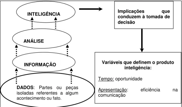 Figura 06 - Processo de transformação de dados em inteligência 