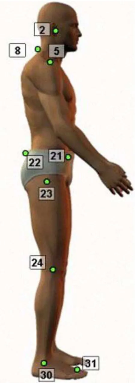 Figure 1. Anatomical points in sagittal plan (right lateral view). Source: 