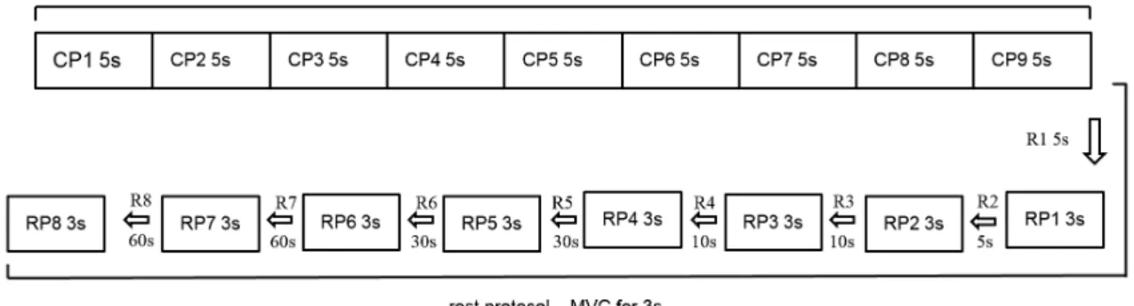 Figure 1. Illustration of the data acquisition procedure during maximum voluntary contraction (MVC) during the contraction protocol (CP- 45 s  divided into nine periods of 5 s for analysis) and rest protocol (RP – eight periods of 3 s) with progressively l