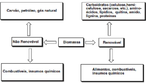 Figura 1: Diagrama da correlação entre as biomassas fósseis e renováveis (Ferreira &amp; Rocha, 2009)