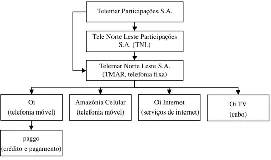 Figura 7 – Estrutura do Grupo Telemar em 2008 (cf. site corporativo www.novaoi.com.br/ri) 
