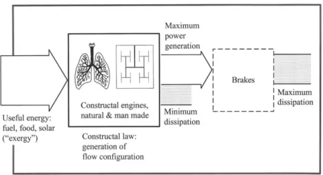 Fig. 1. Every non-equilibrium (ﬂow) component of the earth functions as an engine that drives a brake