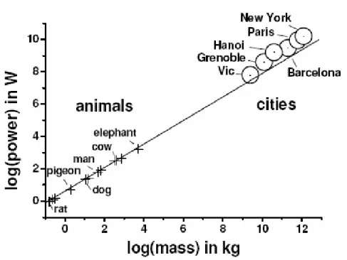 Fig. 2  Scaling law of power dissipated against mass. Cities follow the same  scaling as animals, i.e