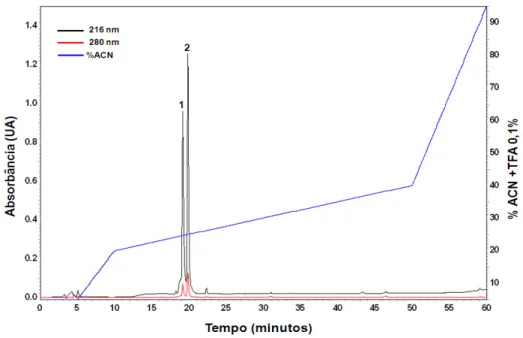 Figura 7. Perfil cromatográfico analítico da fração 5 do veneno de  M. frontalis . A  fração foi purificada em coluna C 18  analítica, fluxo 1,0 mL/min com gradiente otimizado  entre  20-30%  de  acetonitrila  contendo  TFA  0,1%