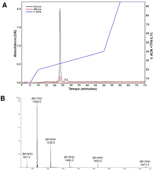 Figura  11.  Perfil  cromatográfico  analítico  e  massa  molecular  da  fração  10  do  veneno de  M