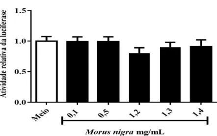 Figura 7- O extrato aquoso de Morus nigra não mostrou efeito sobre o CMV-LUC. Células HeLa  foram transfectadas com plasmídeo CMV-LUC e tratadas com meio de cultura ou concentrações até 1,4 mg/mL  de extrato de Morus nigra