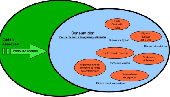 Figura .3.1: O consumidor enquanto fator de risco e insegurança alimentar