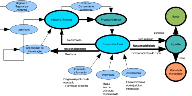 Figura 4.1: A responsabilidade do consumidor