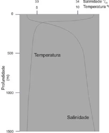 Fig. 5 – Diagrama da variação da temperatura e da salinidade com a profundidade. 