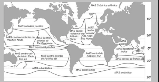 Fig. 6.1 – As massas de água superficiais oceânicas.  Adaptado de Brown et al, 1993 . 