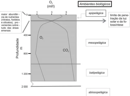 Fig. 6 – Variação do teor em O 2  e CO 2  com a profundidade, bem como as  designações dos ambientes biológicos