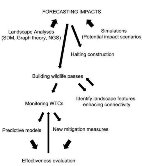 Fig. 4.1 Ideal protocol for mitigating railway barrier effects