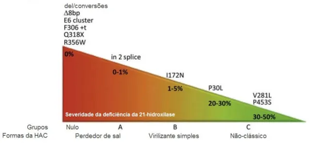 Figura 3: Correlação genótipo-fenótipo na HAC pela deficiência da 21-hidroxilase baseado na  atividade do CYP21A2 in vitro