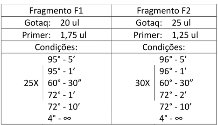 Tabela 1: Condições da reação em cadeia da  polimerase para os fragmentos F1 e F2. 