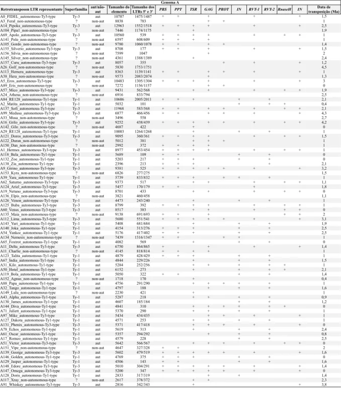 Tabela  5:  Lista  das  principais  características  dos  81  retrotransposons  LTR  identificados  no  genoma  de  A