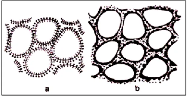 Figura 3.9  – Diferentes ações de estabilização de moléculas de espumantes (a) e  partículas sólidas (b)