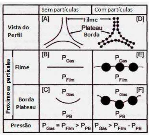 Figura 3.11  – Efeito de partículas hidrofóbicas sobre a diferença de pressão no filme da  espuma e nas bordas de Plateau