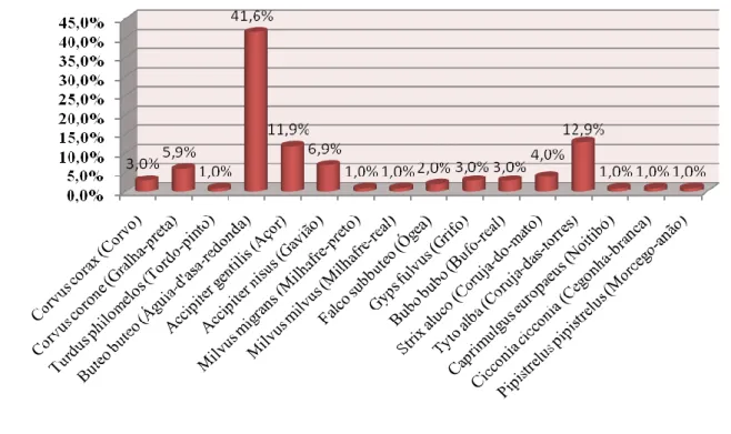 Gráfico 1: Frequência relativa das espécies acompanhadas e observadas 