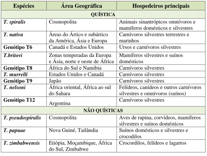 Tabela  1:  Correspondência  das  diferentes  espécies  e  genótipos  de  Triquinela  com  as  respectivas  localizações e hospedeiros (Gottstein et al., 2009)