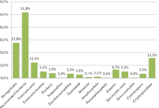 Gráfico  5:  Gráfico  das  prevalências  globais  dos  parasitas  identificados  nas  amostras  fecais  das  três  espécies de canídeos    C