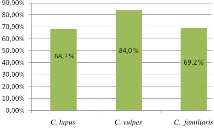 Gráfico 6: Gráfico das prevalências do número de amostras positivas para cada uma das espécies de  canídeos em estudo