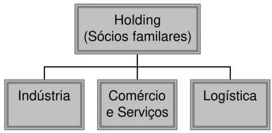 Figura 8 – Proposta de uma holding.
