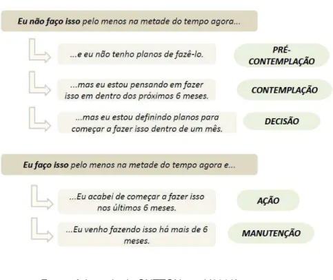 FIGURA 8 – Classificação nos estágios de mudança de comportamento 